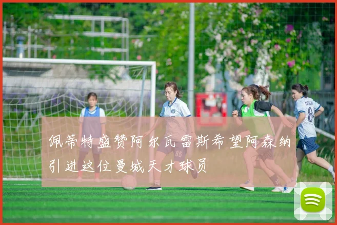 佩蒂特盛赞阿尔瓦雷斯希望阿森纳引进这位曼城天才球员