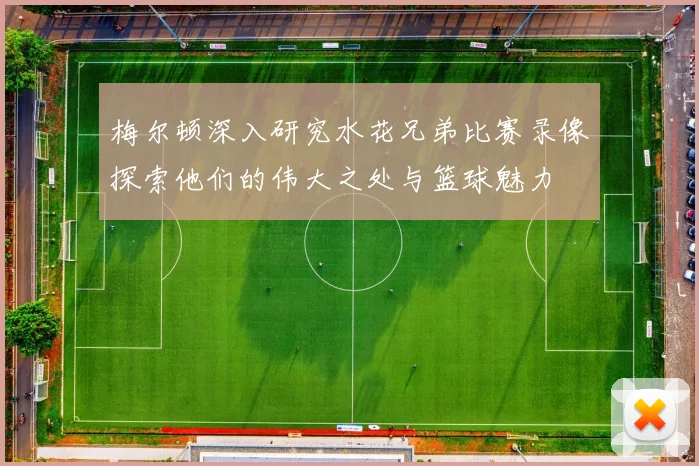 梅尔顿深入研究水花兄弟比赛录像探索他们的伟大之处与篮球魅力