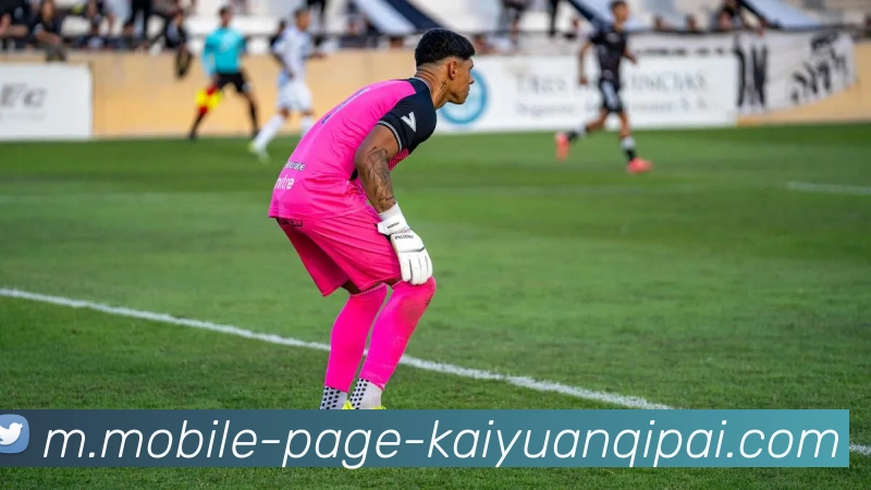 开元体育发展历程